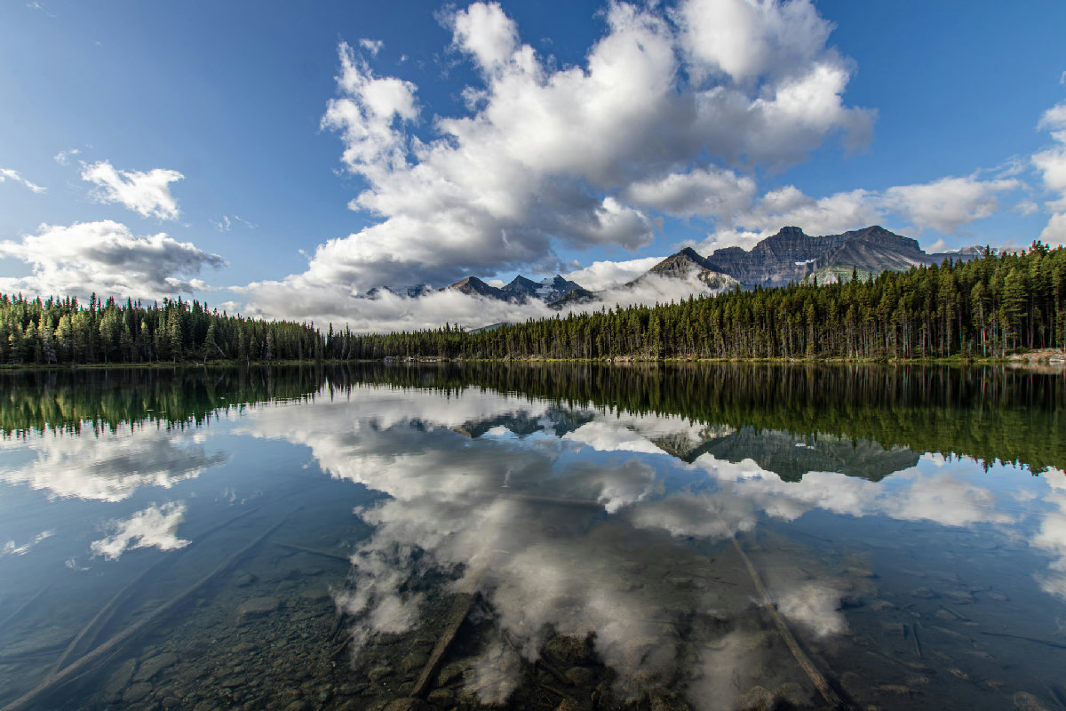 A perfectly still alpine lake mirrors billowing white cumulus clouds and rugged mountain peaks rising above a dense wall of conifer forest. The crystal-clear water reveals the rocky lake bed in the foreground, while low-lying mist clings to the mountains in the background under a bright blue sky.