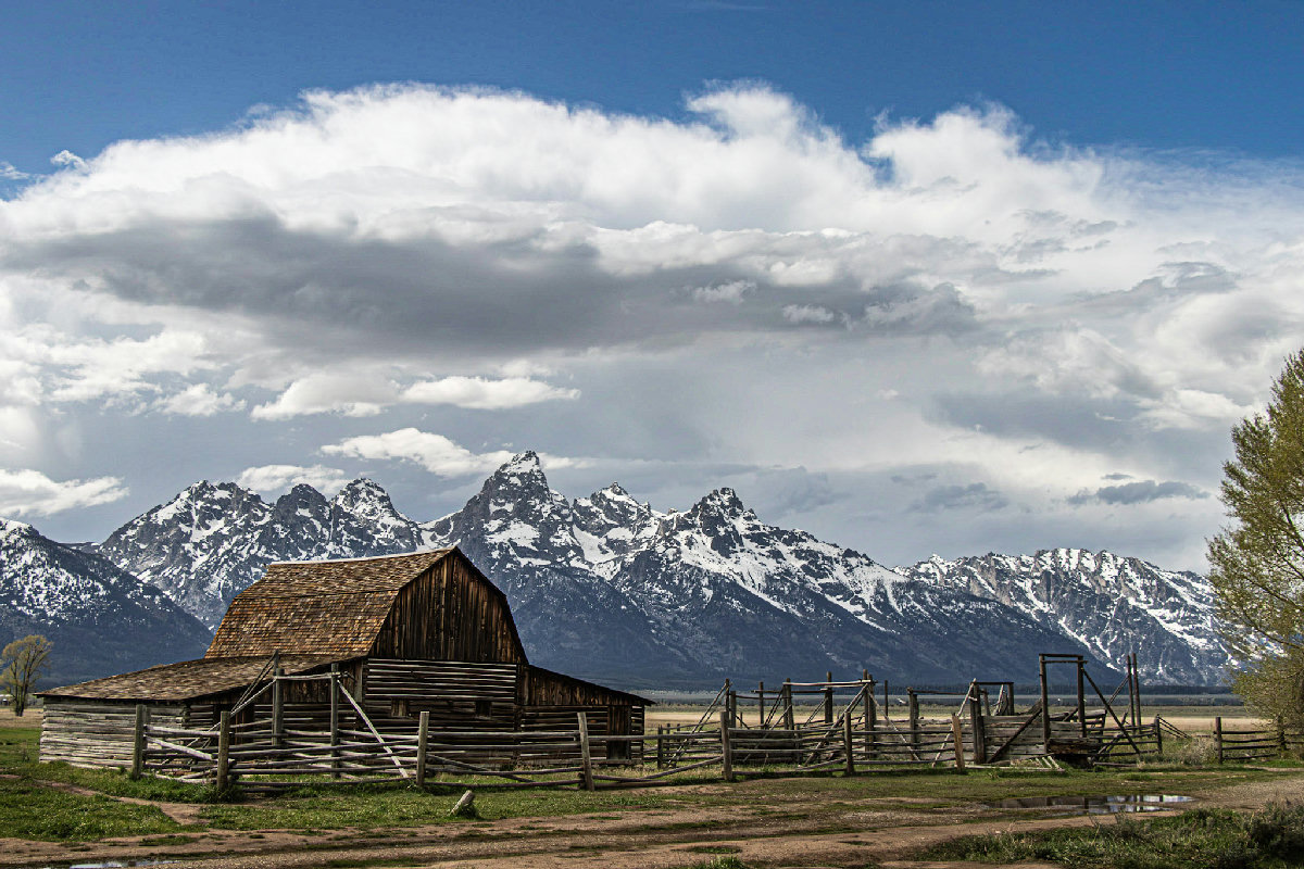 The historic John Moulton Barn on Mormon Row stands against the snow-capped peaks of the Teton Range, with a weathered wooden corral in the foreground and dramatic billowing clouds filling a blue spring sky above the mountains.